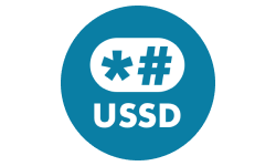 ussd-logo